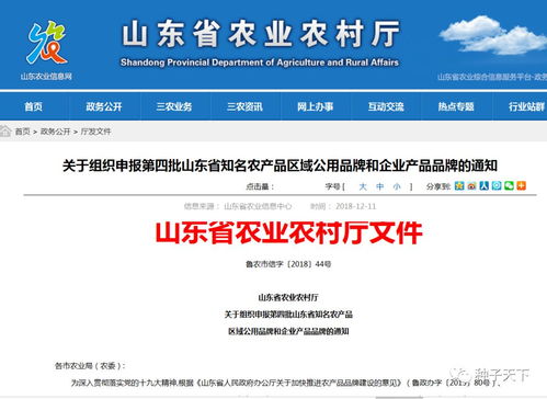 山東啟動省級知名農(nóng)產(chǎn)品品牌申報競賽，推動農(nóng)業(yè)品牌化發(fā)展