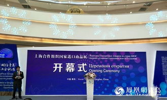 上合組織國家進(jìn)口商品展在青島成功舉辦，促進(jìn)區(qū)域經(jīng)濟(jì)合作新機(jī)遇